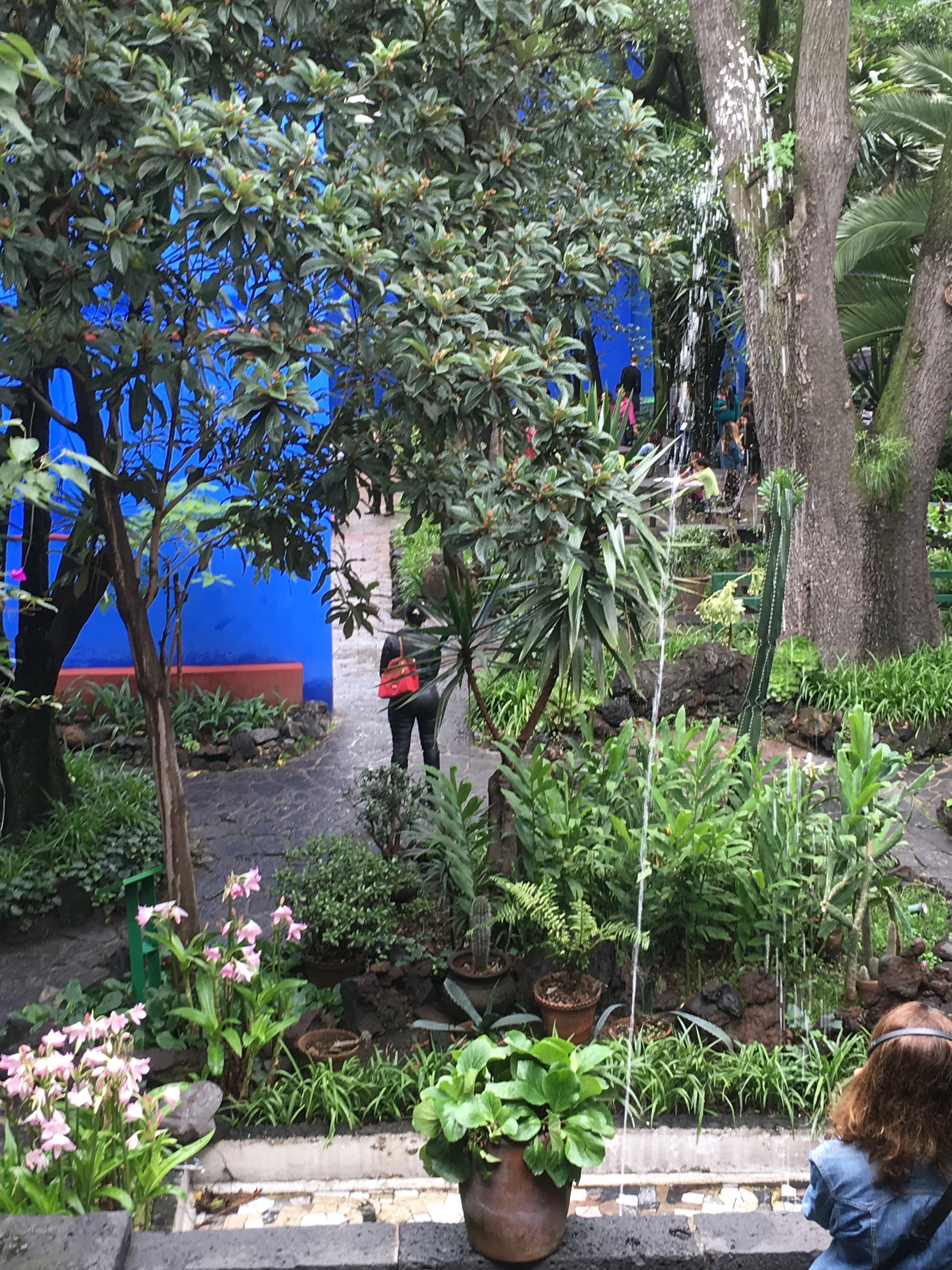 FRIDA KAHLO MUSEUM - GARDEN