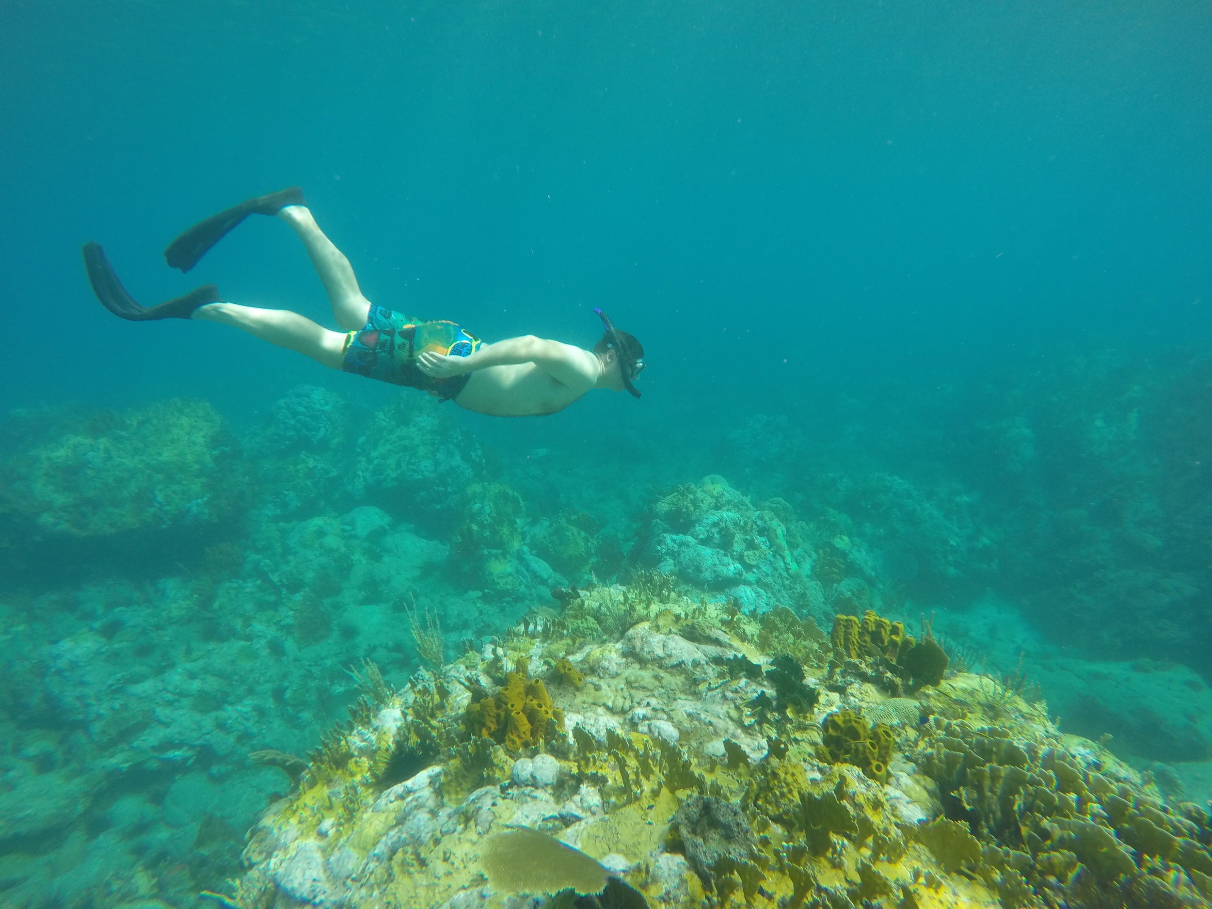 Under the sea