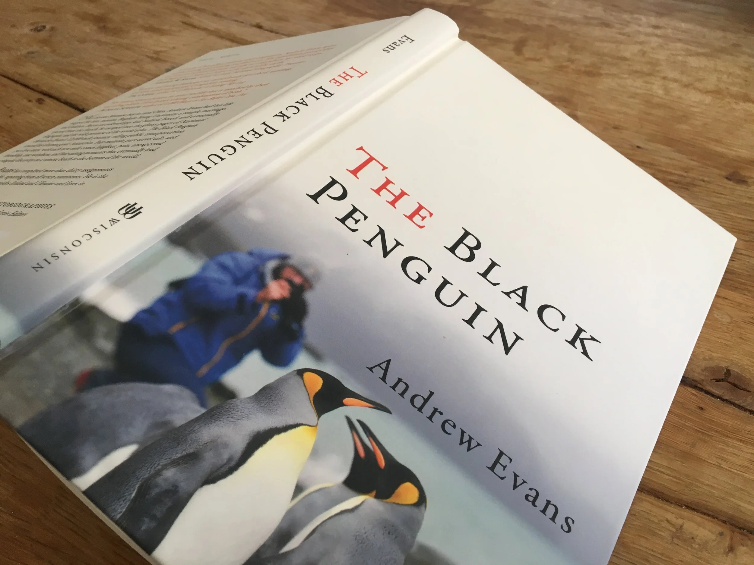 The Black Penguin