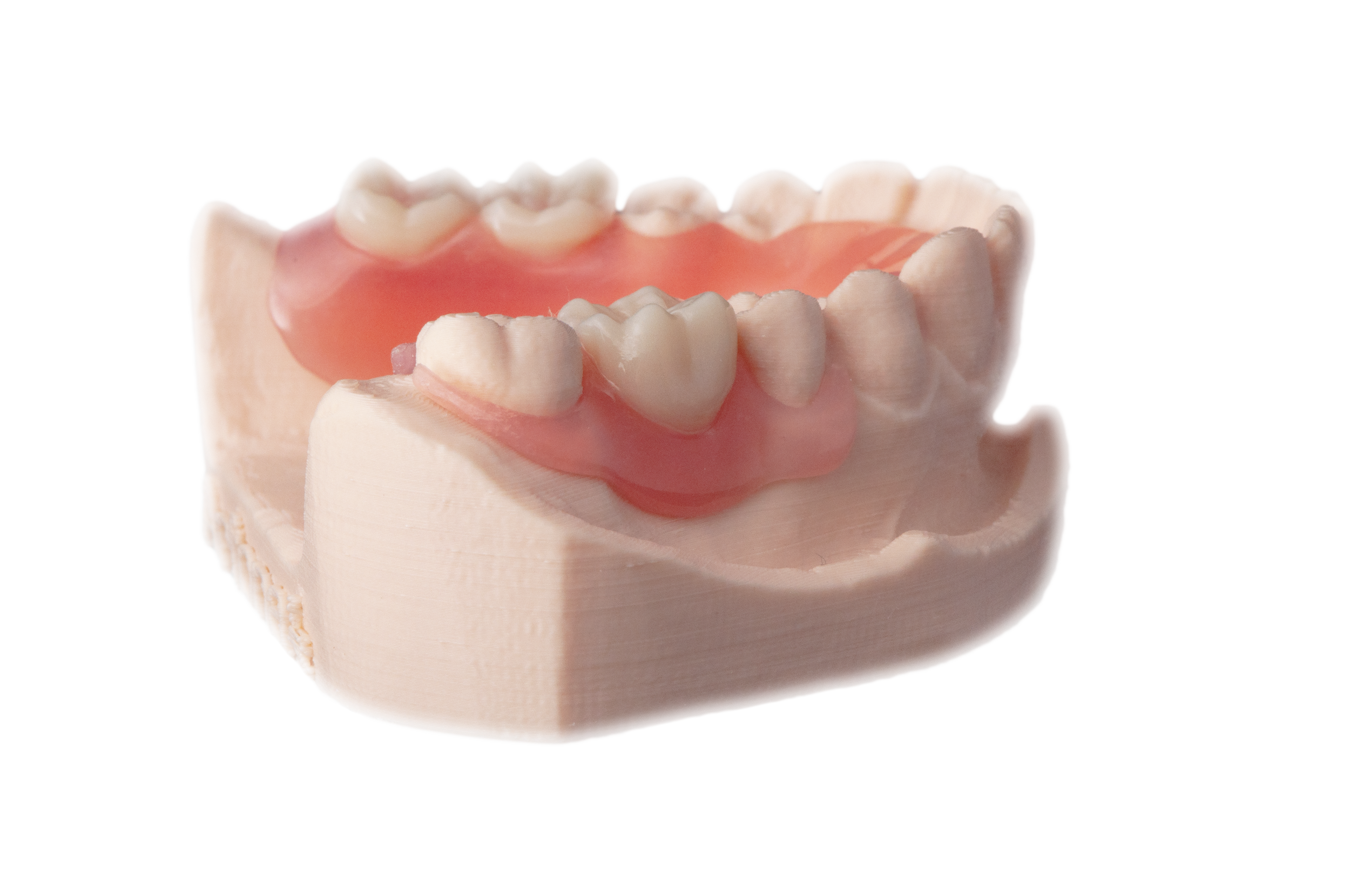 Valplast 3D.png
