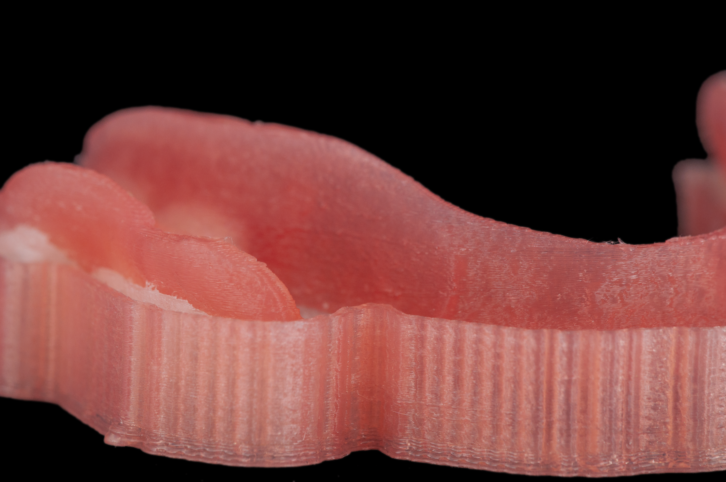 Valplast partial denture before post processing, printed on the r.Pod Desktop 3D Printer.