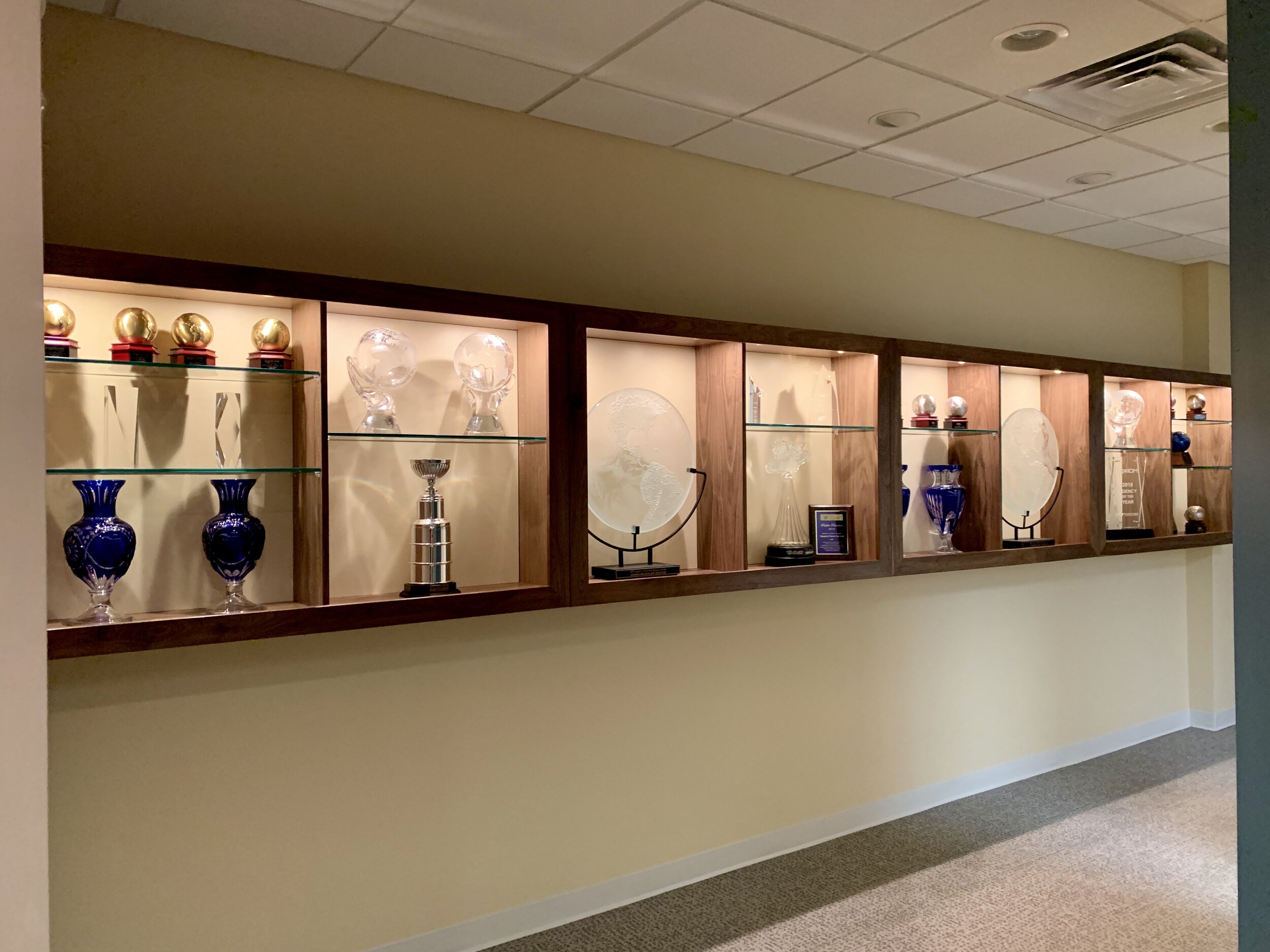 trophy case ideas