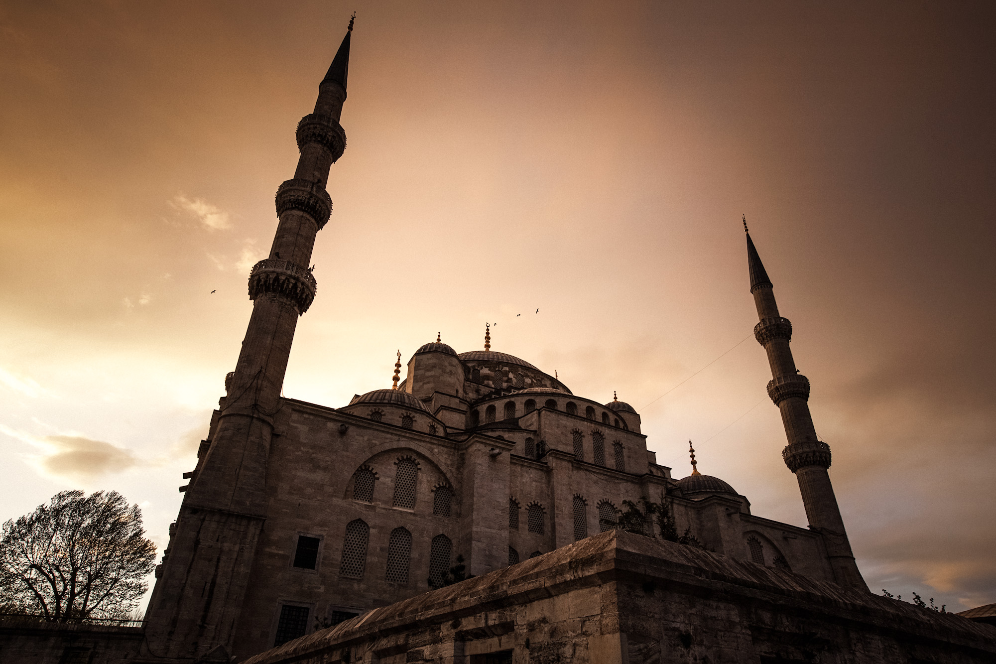 Mosquee_Bleue_Istanbul.jpg