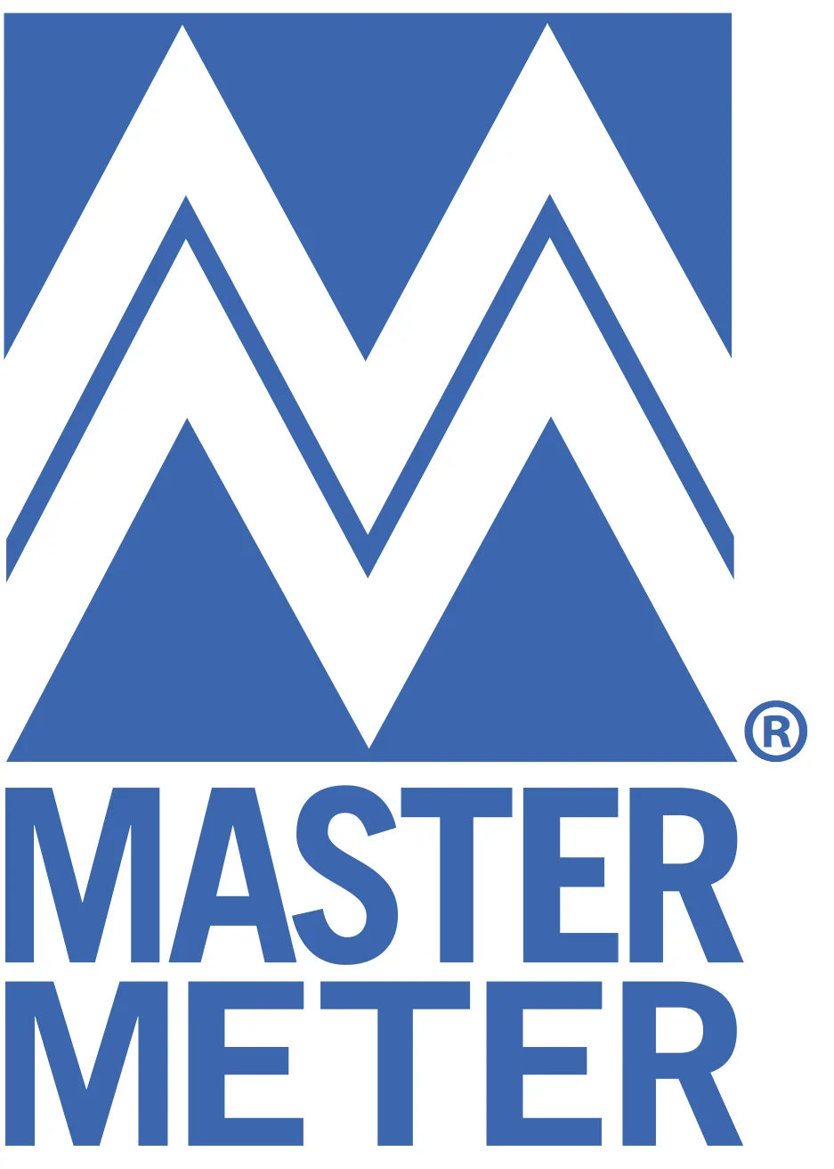 Master Meter.jpg