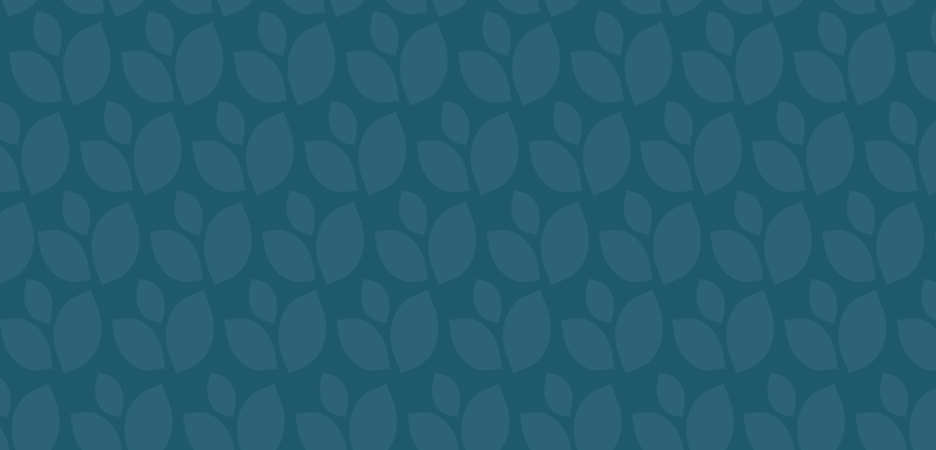 SM Background.png