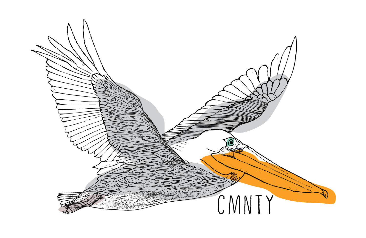 Pelican_Colored.png