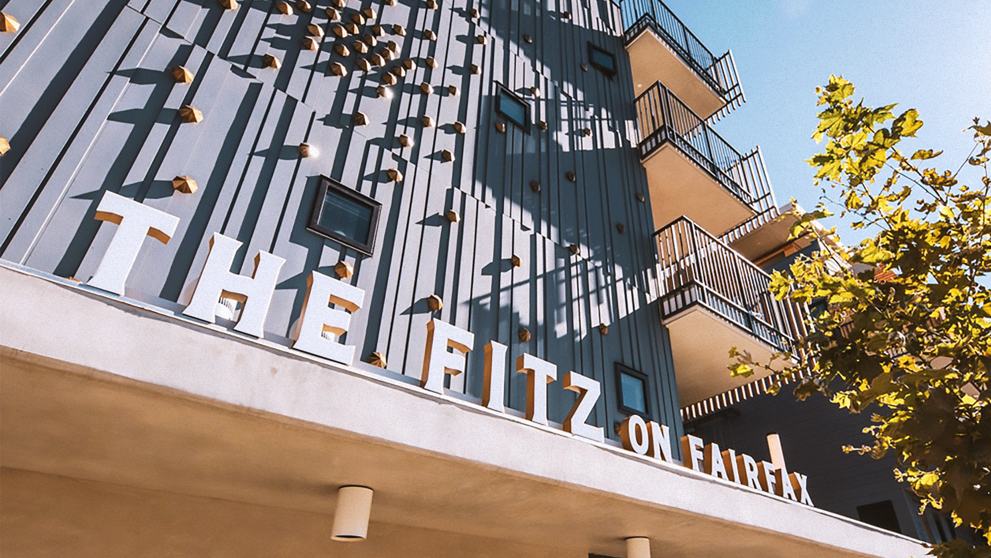 Fitz_Building_2000.png