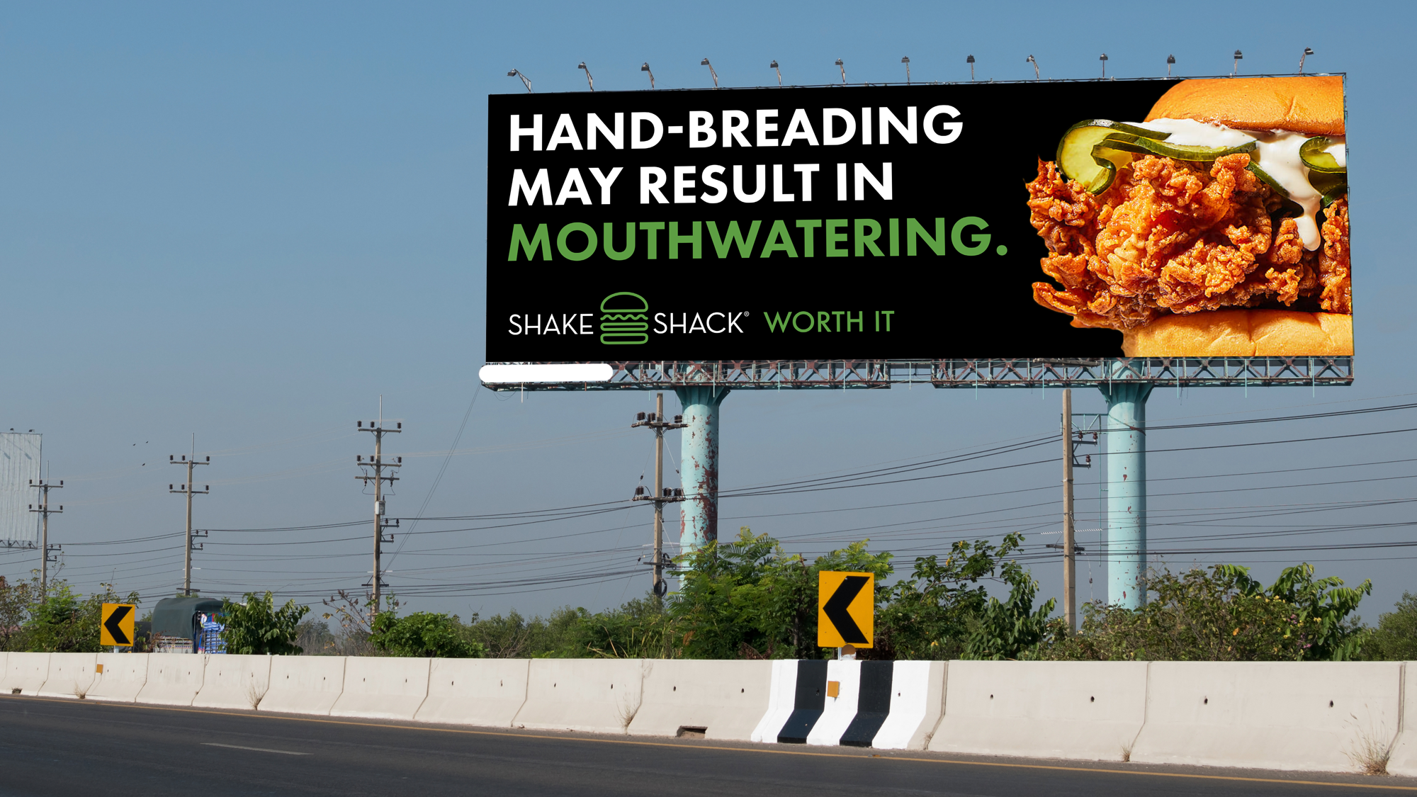 SS_WORTHIT_Billboard_Highway.png
