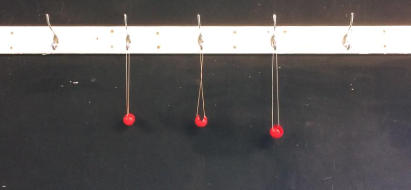 13319873_895631723896289_7935382602733435830_n (1).jpg