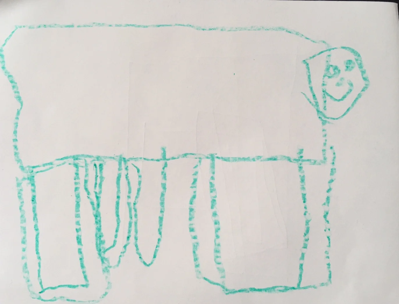 "It's a cow with those...what do you call the things that make milk? Udders. With udders. But one of the udders is missing."—Teddy, age 4