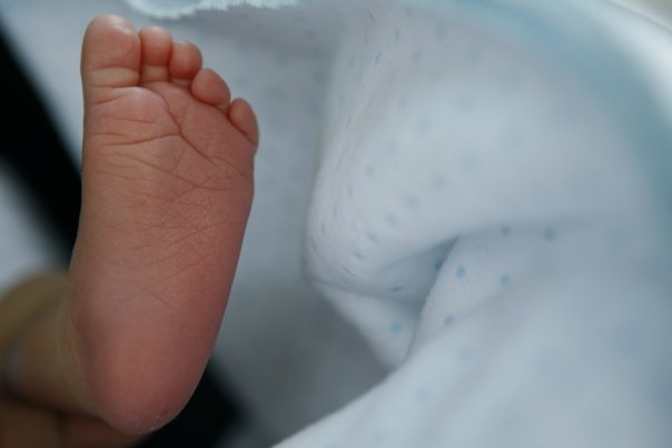 photo by Tara Todras-Whitehill (baby foot by me)