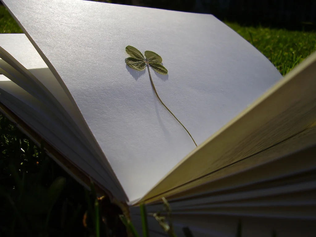 Photo credit: lightlady via Visual hunt / CC BY
