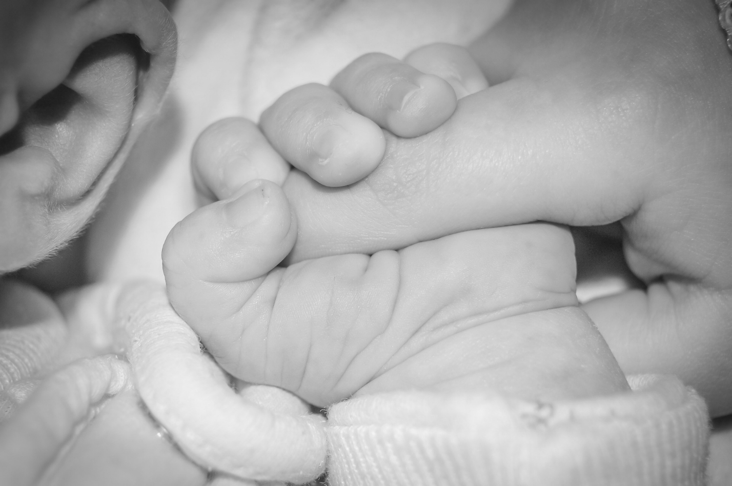 baby-handle-tiny-father-51966.jpeg