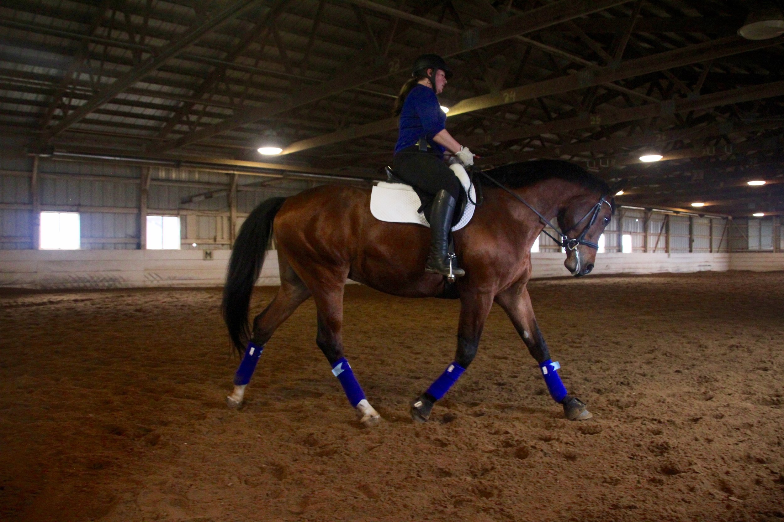 horse boarding Lincoln Nebraska — Lincoln Equestrian Center