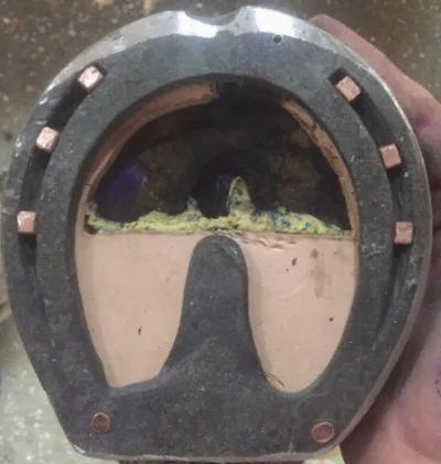 Zack made this shoe, a heart bar to which he attached leather balance pads and dental impression material to help relieve the pressure from the Navicular bone on a horse who has developed Cysts on Navicular bone. This type of therapeutic shoeing enables this horse to continue to live and work comfortably.