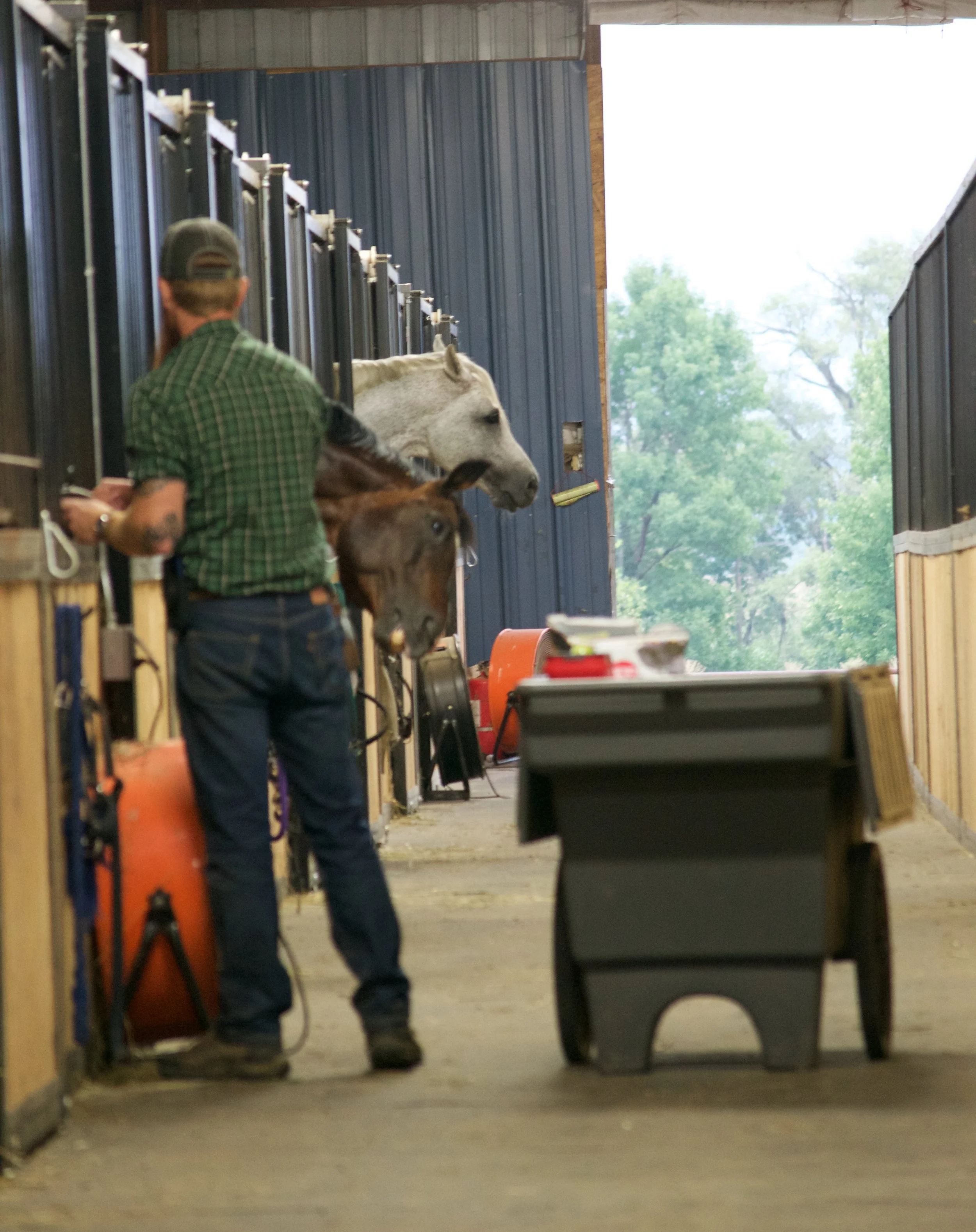 The True Cost of Horse Boarding