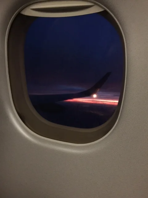 flying back home