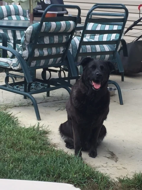 Meet Chloe.