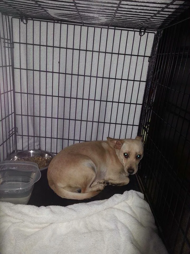 flora, scared and pregnant.