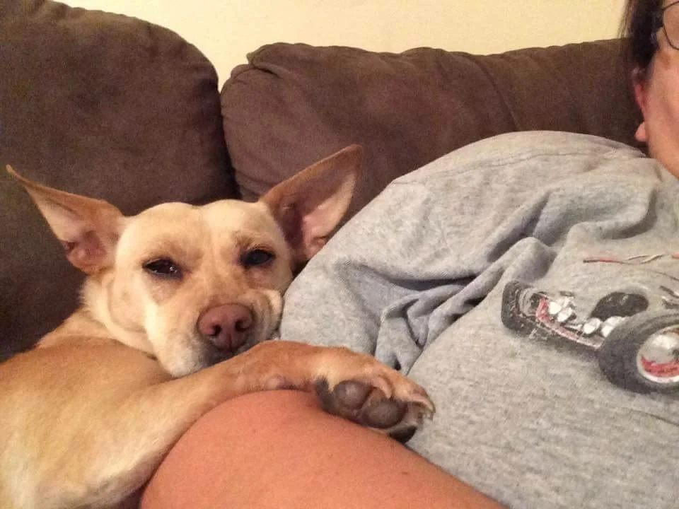 recovered from surgery and emotional distress