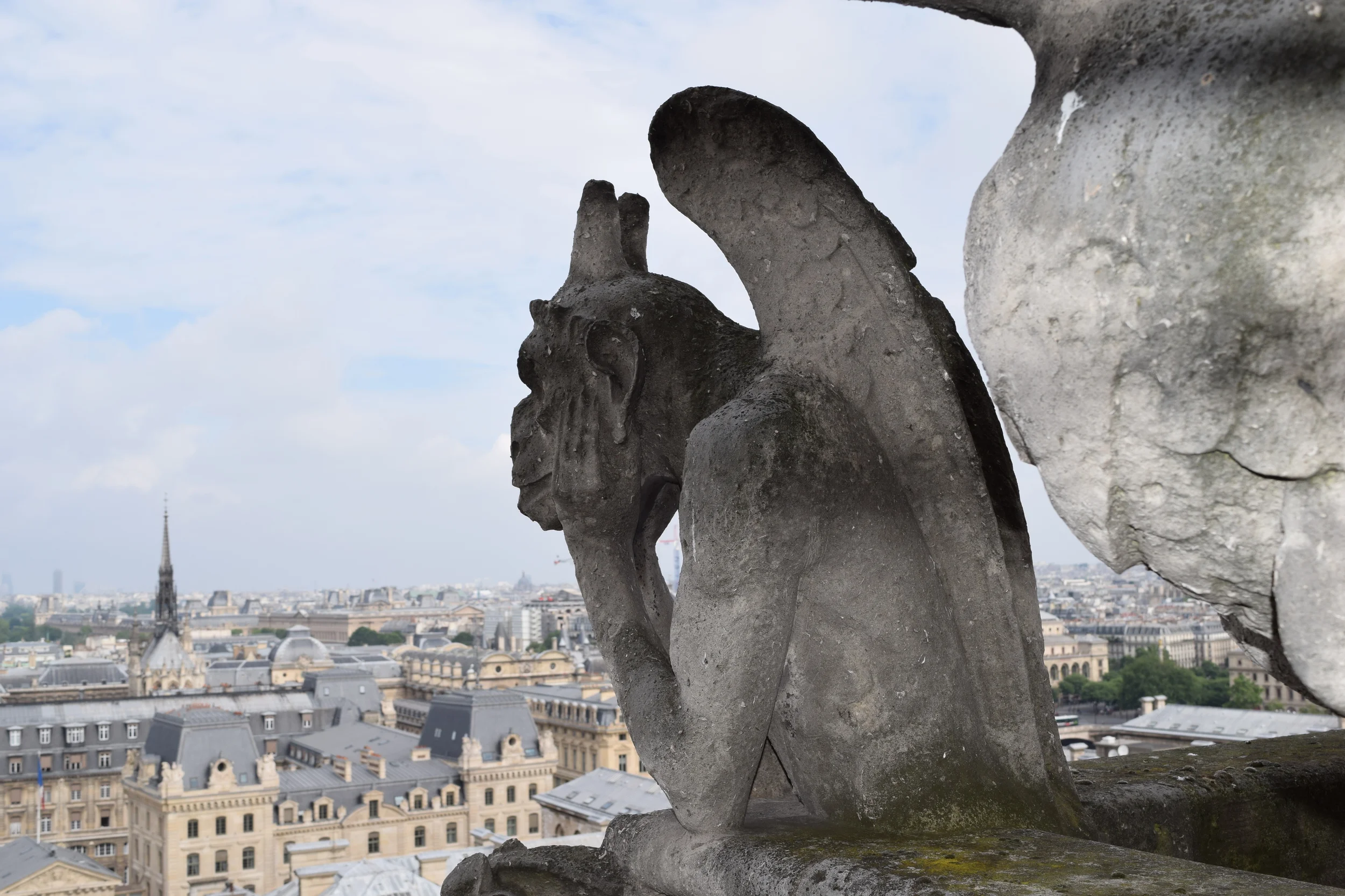 Had to use a selfie stick to take this Gargoyle picture!