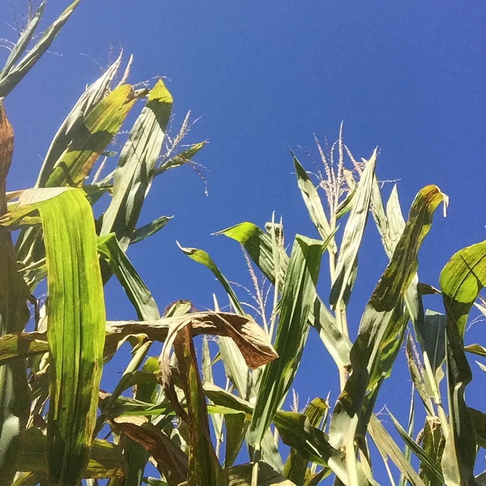 It was a gorgeous day to explore outside! Sunny and blue skies! 