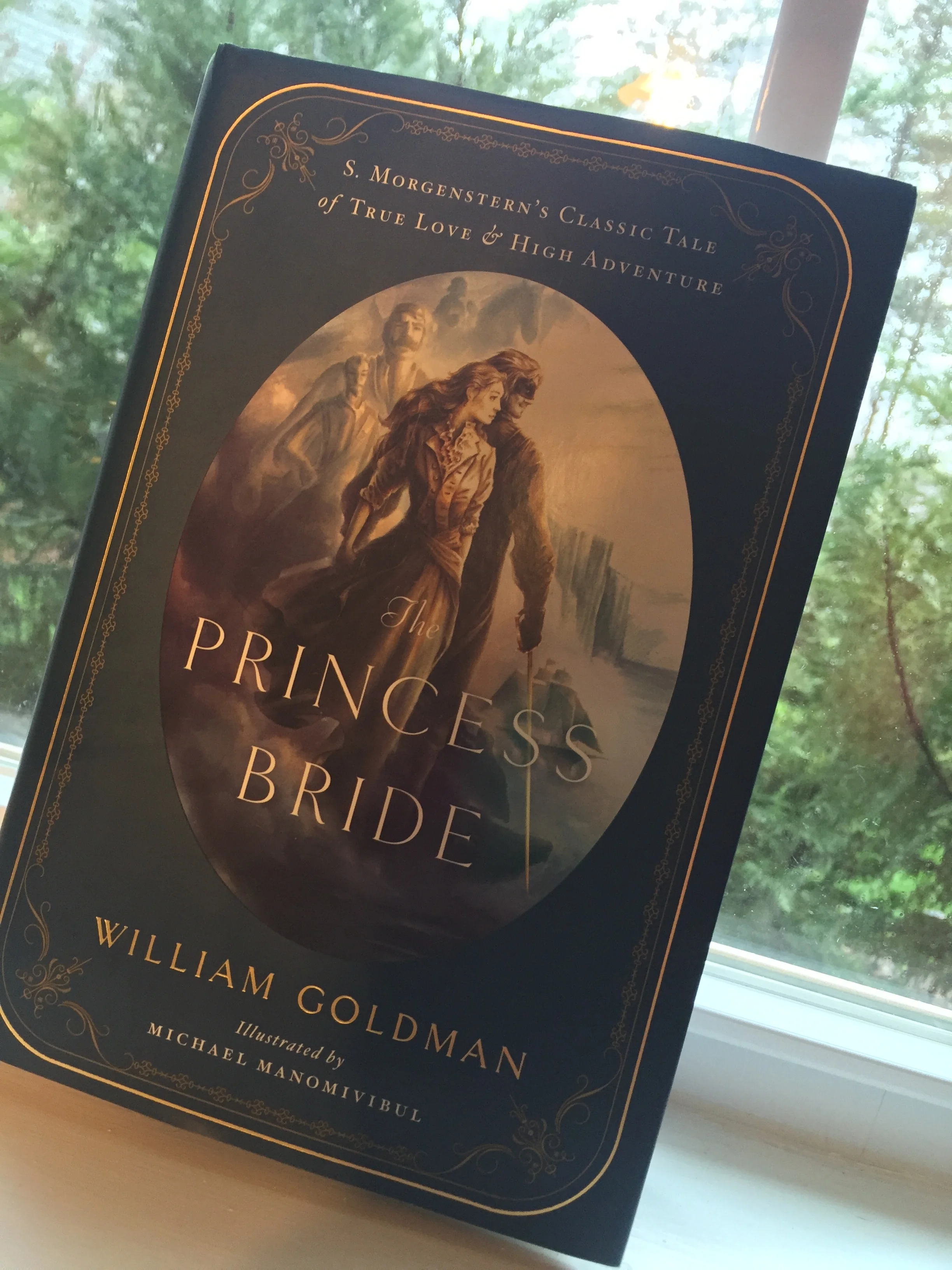 Gah! Look at that beautiful cover...I swoon!