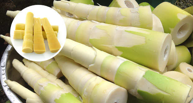 he Rice Bowl: A Healthy TidBit! Today we highlight Bamboo Shoots. What are they all about? #HealthTip , #tgif , #TheRiceBowl The health benefits of bamboo shoots include healthy weight loss, control of bad cholesterol, strengthening of the immune system, possible cancer-fighting properties and anti-inflammatory properties. It is heart friendly, contains protein, a sufficient supply of vitamins and minerals and a negligible amount of fat. It also contains a significant amount of dietary fiber. Vitamins and Minerals in Bamboo Shoots: Bamboo shoots contain vitamins such as vitamin A, vitamin B6, vitamin E, thiamin, riboflavin, niacin, folate and pantothenic acid. Minerals found include calcium, magnesium, phosphorous, potassium, sodium, zinc, copper, manganese, selenium and iron. The Windchimes serves Bamboo shoots in many of our dishes including the Szechuan Roasted Pork , the Happy Family, and the Mu Shu.
