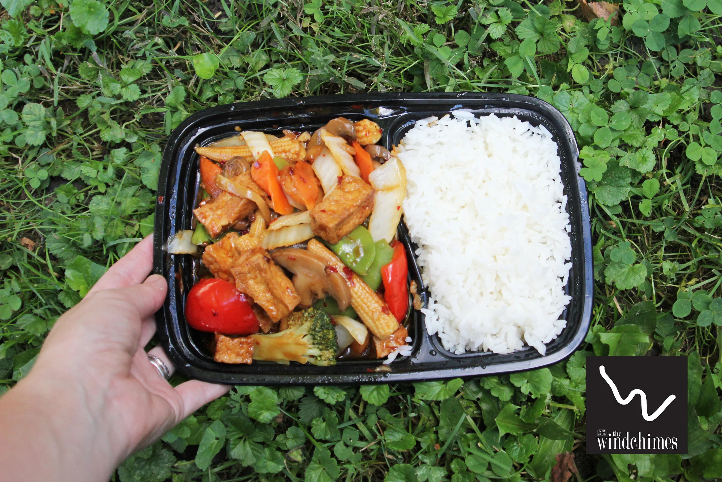 #WindchimesChineseFood #BestChineseFoodColumbus #WindchimesChinese #WindchimesMenu #WindchimesChineseTofu