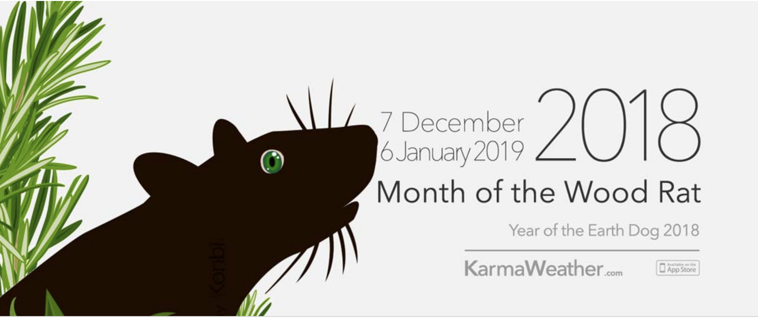 Screen Shot 2018-12-12 at 11.14.09 AM.png