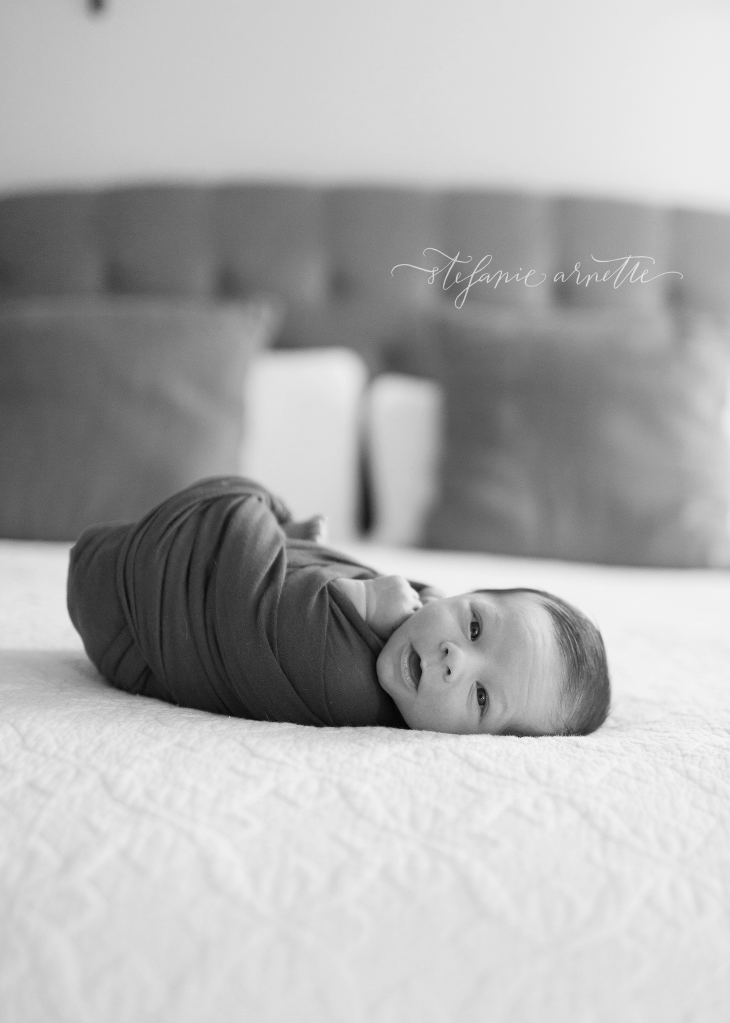 newborn (1).jpg