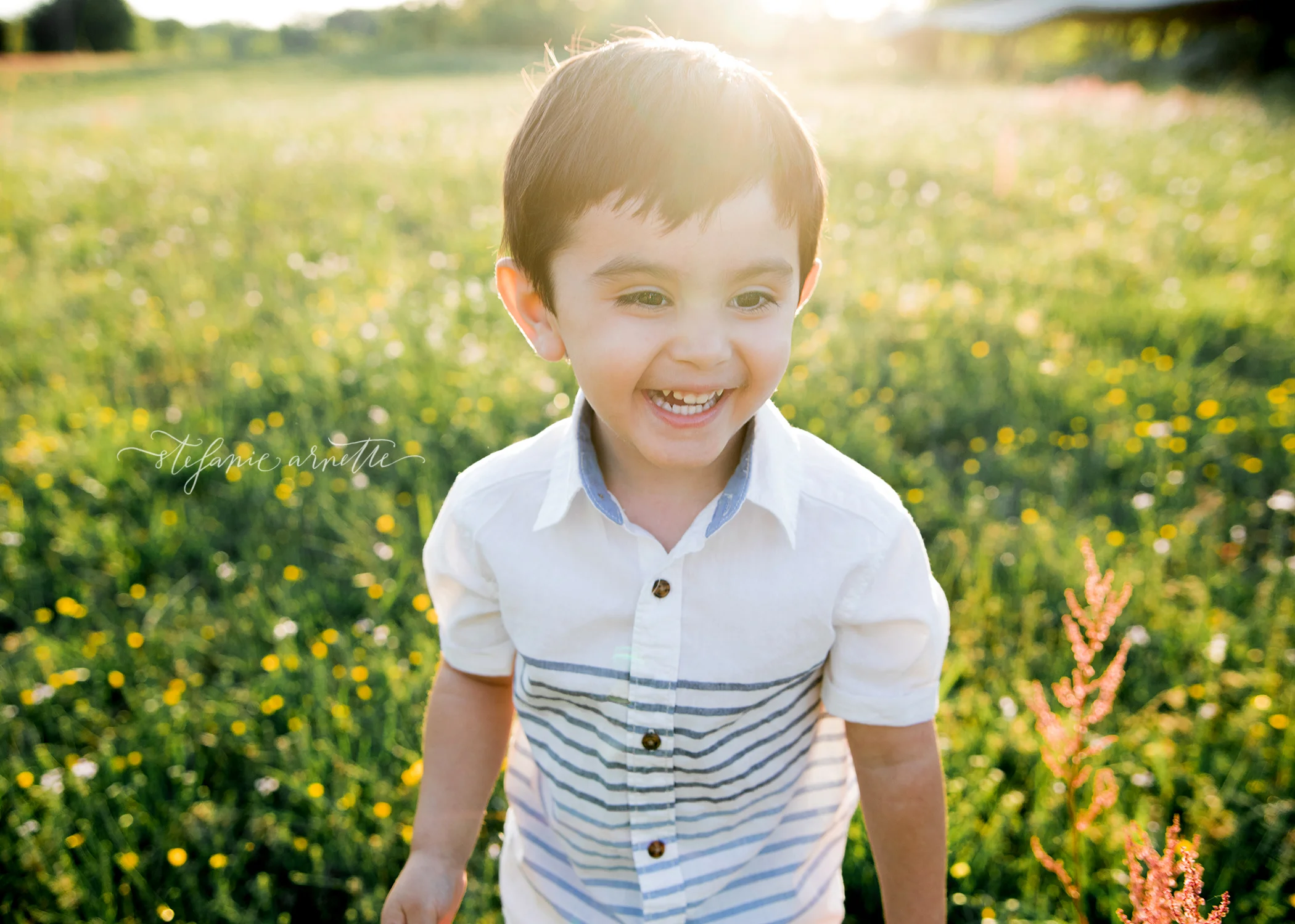 {the lozano family} — Stefanie Photography