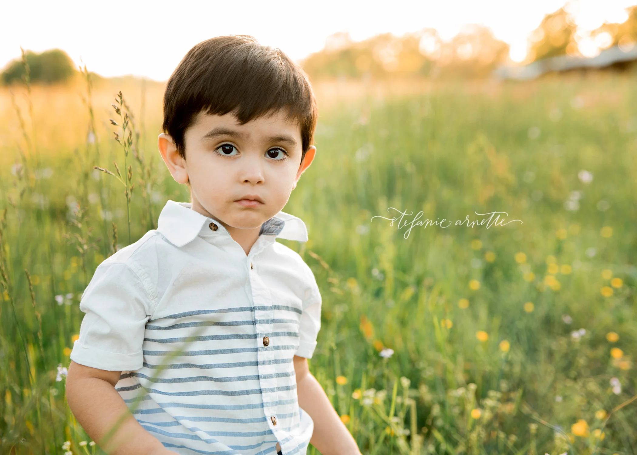 {the lozano family} — Stefanie Photography
