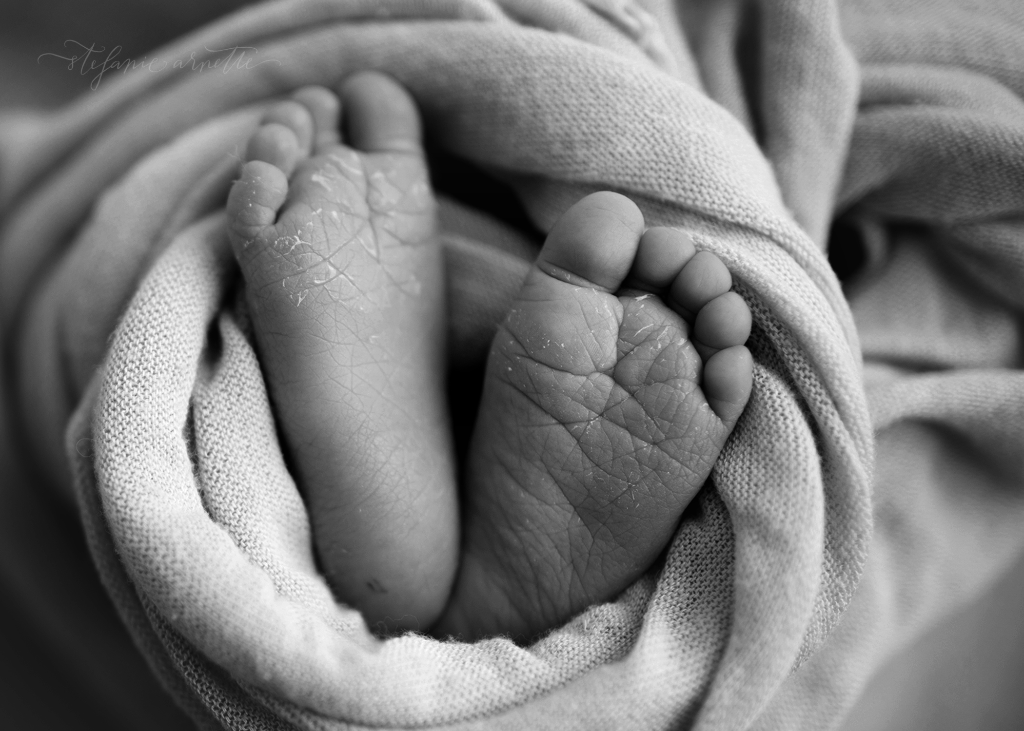 newborn (36)bw.jpg