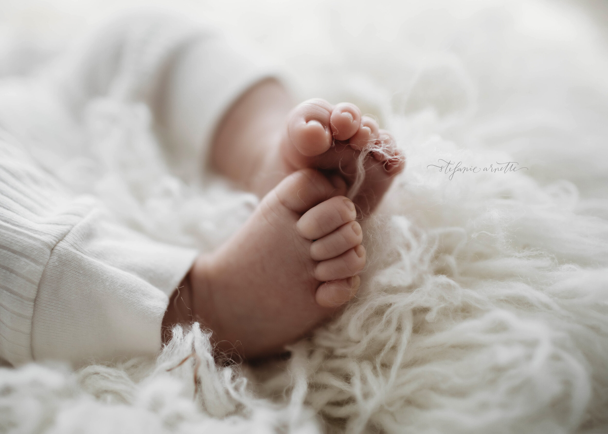 bremen baby photographer_42.jpg