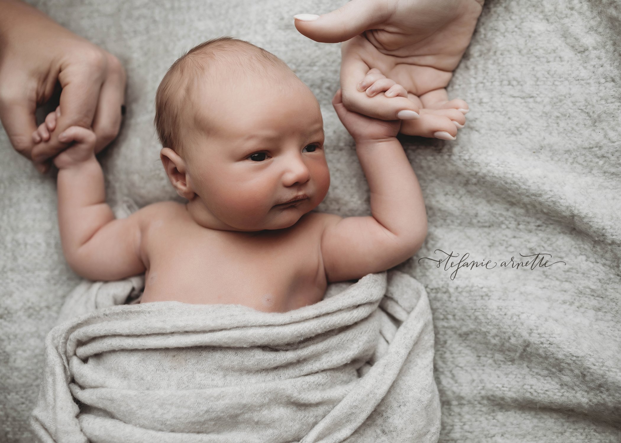 dallas newborn photographer_15.jpg