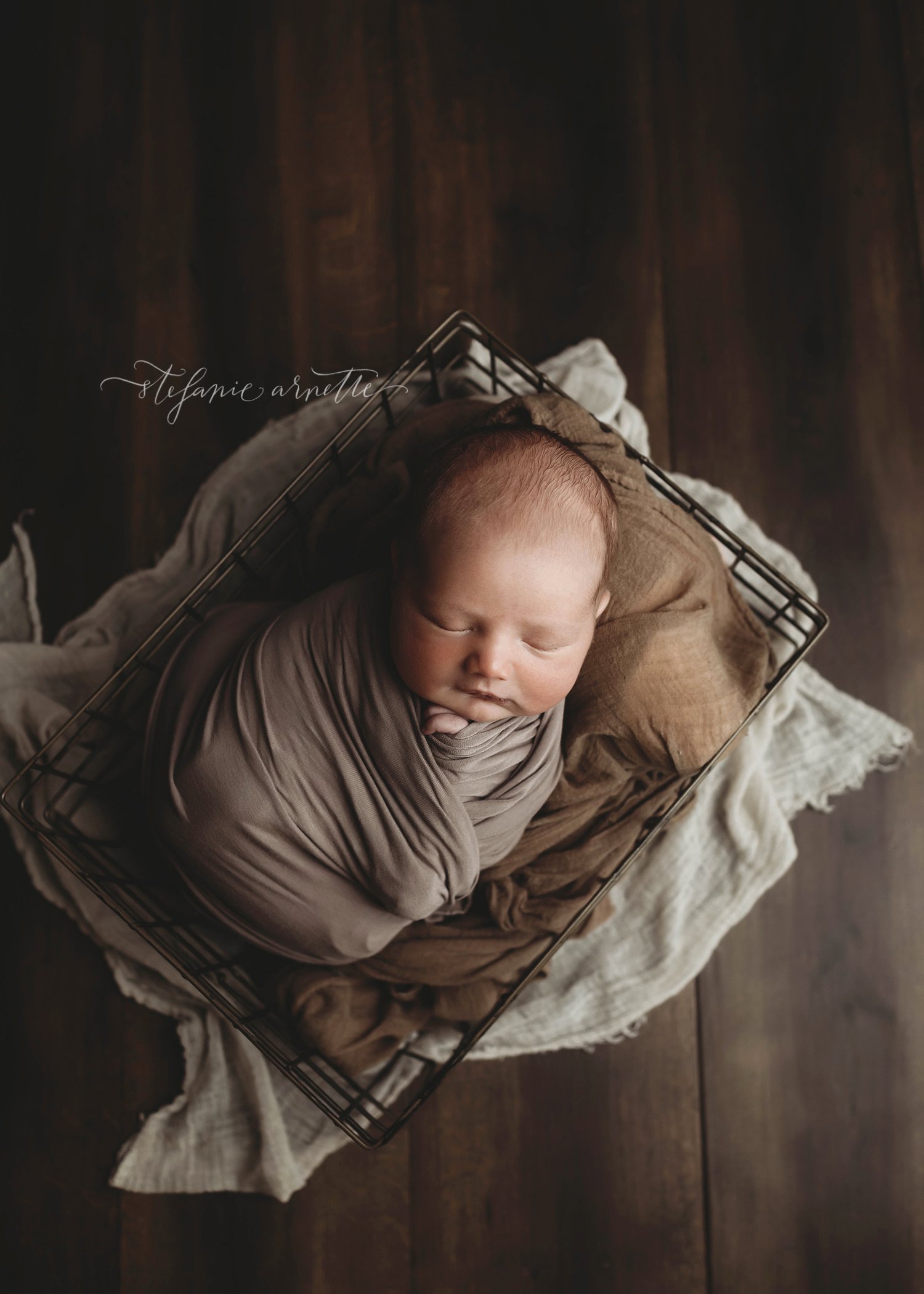 dallas newborn photographer_23.jpg