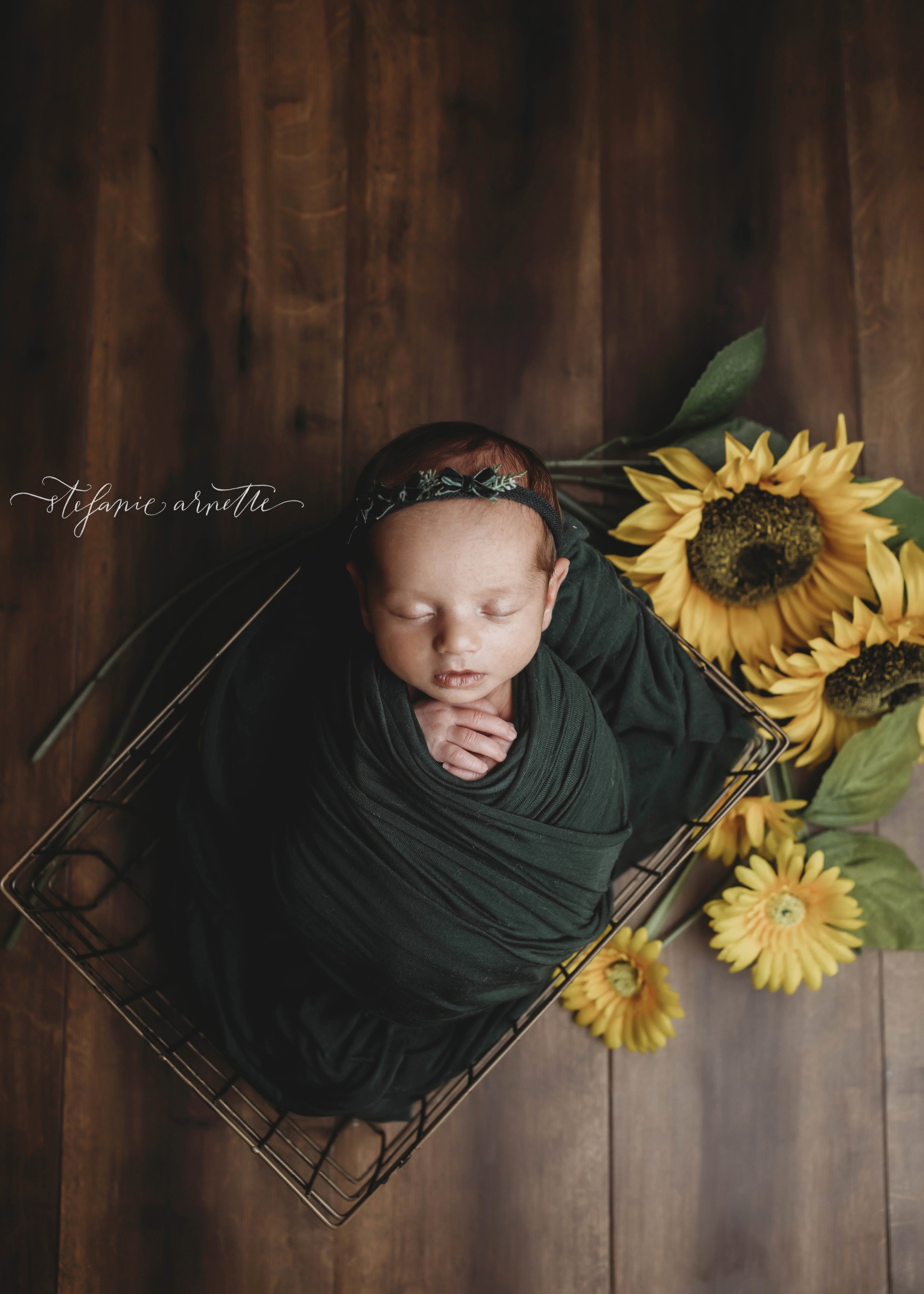 newborn photographer near me