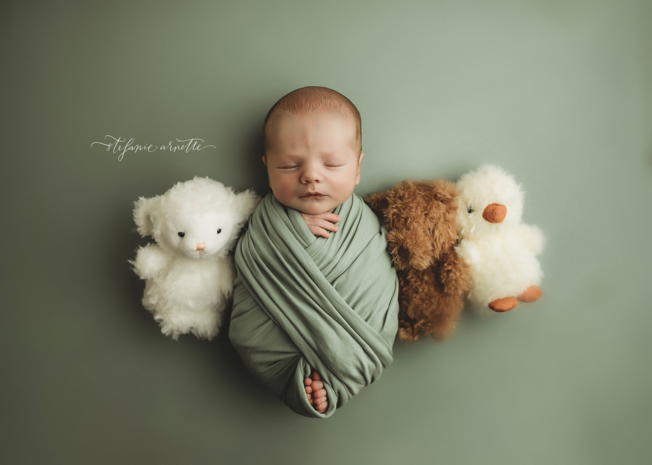 fayetteville newborn photographer_14.jpg