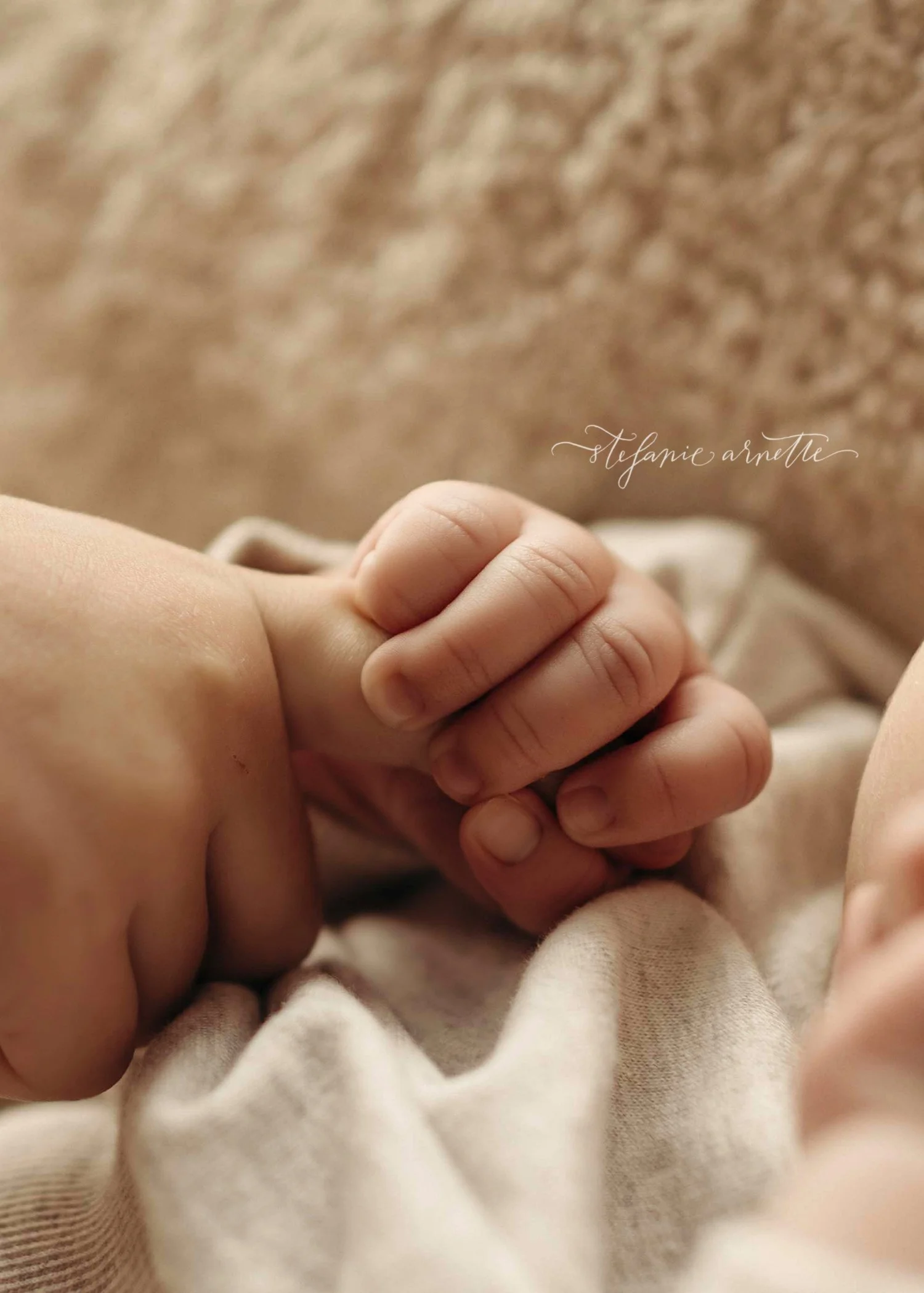 carrollton-baby-photographer_43.jpg
