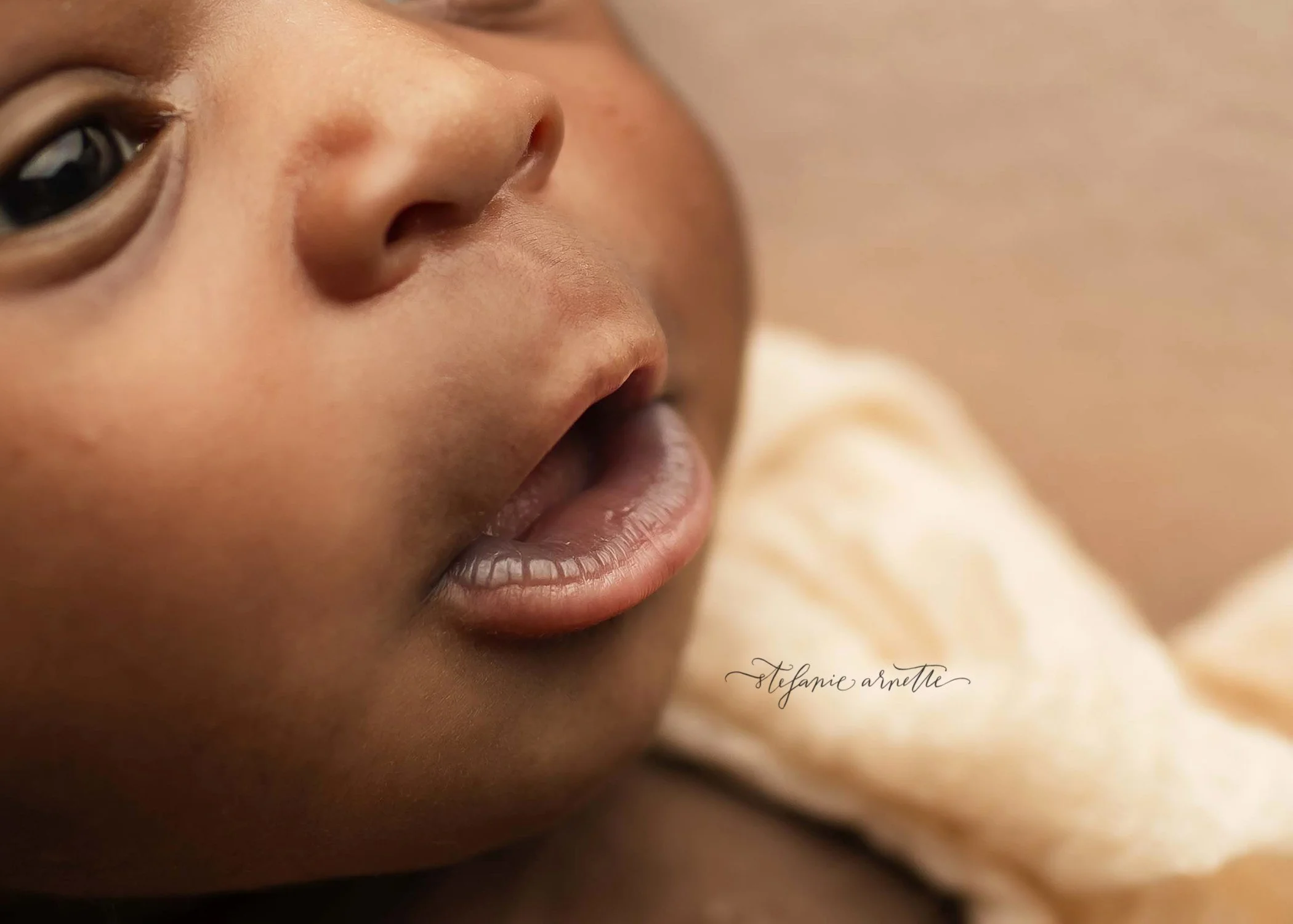 carrollton-newborn-photographer_50.jpg