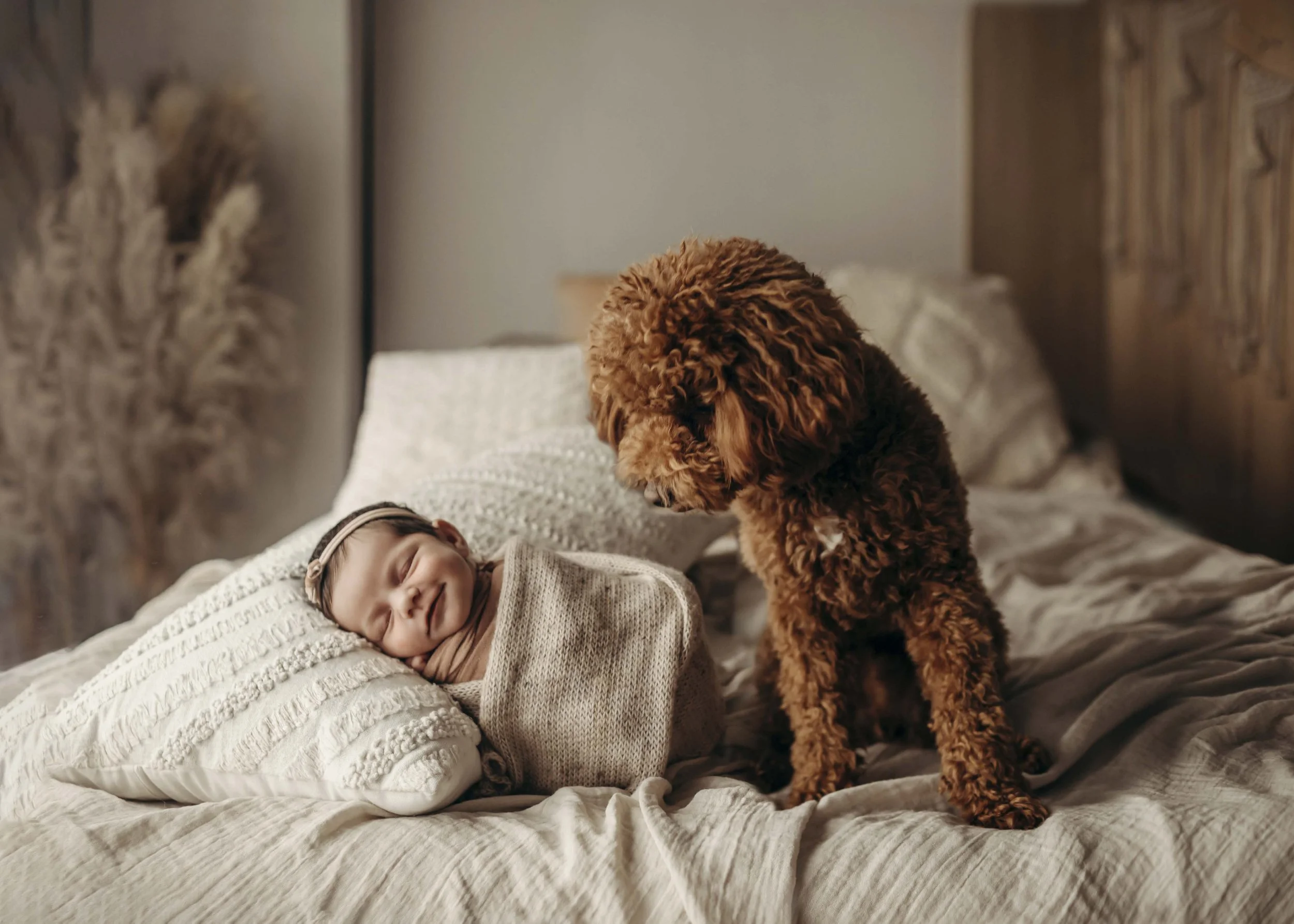 carrollton-newborn-photographerCLR (45).jpg