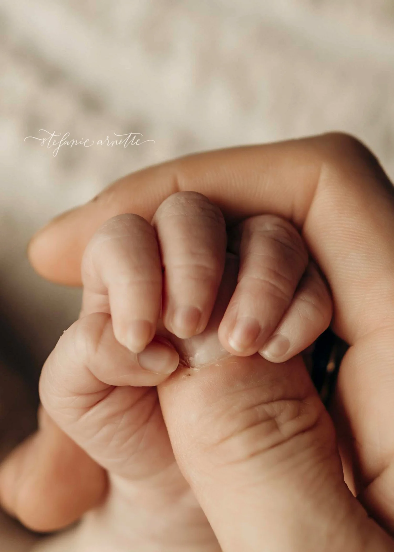 newborn-photographer-near-me_47.jpg