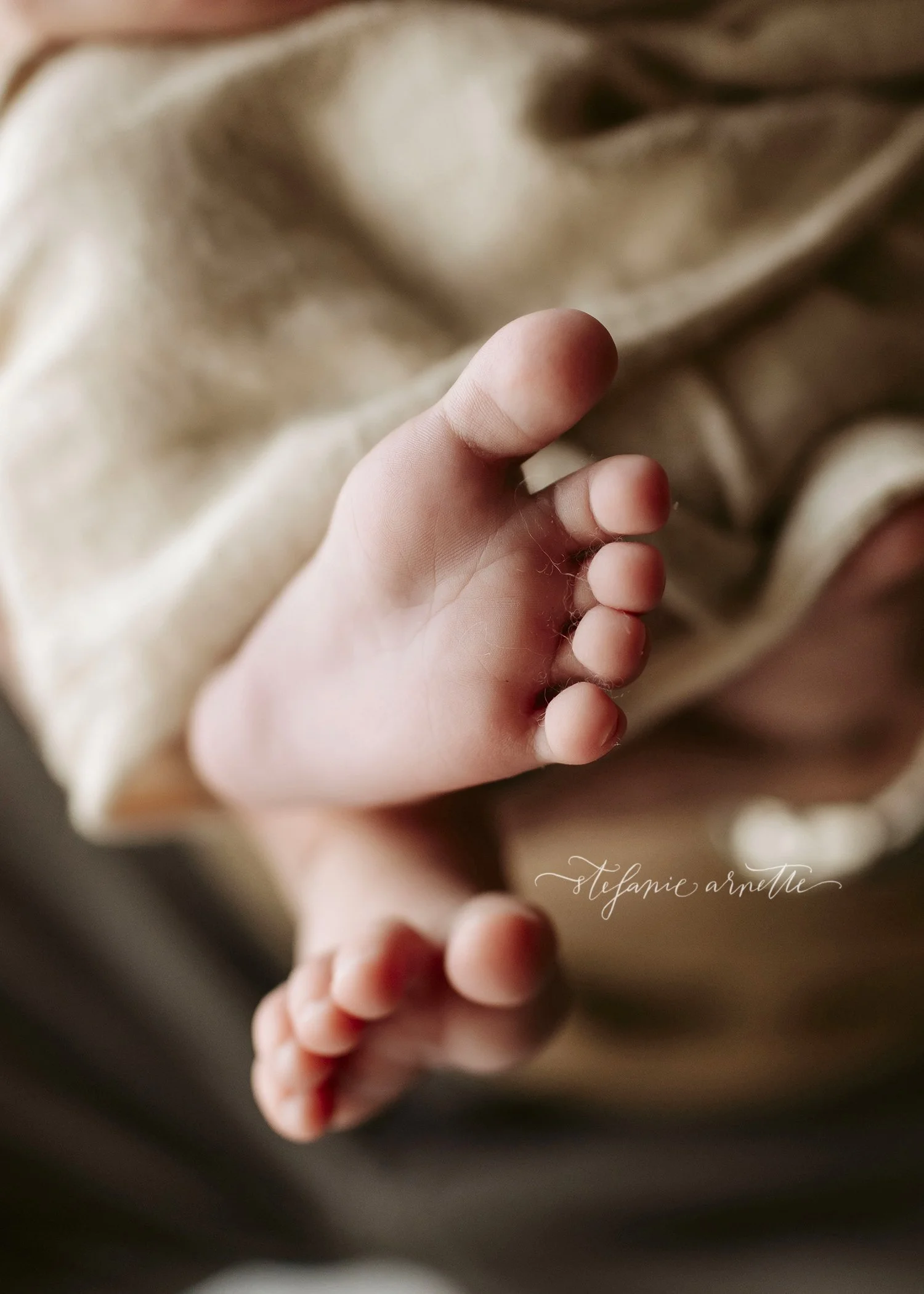 newborn-photographer_44.jpg