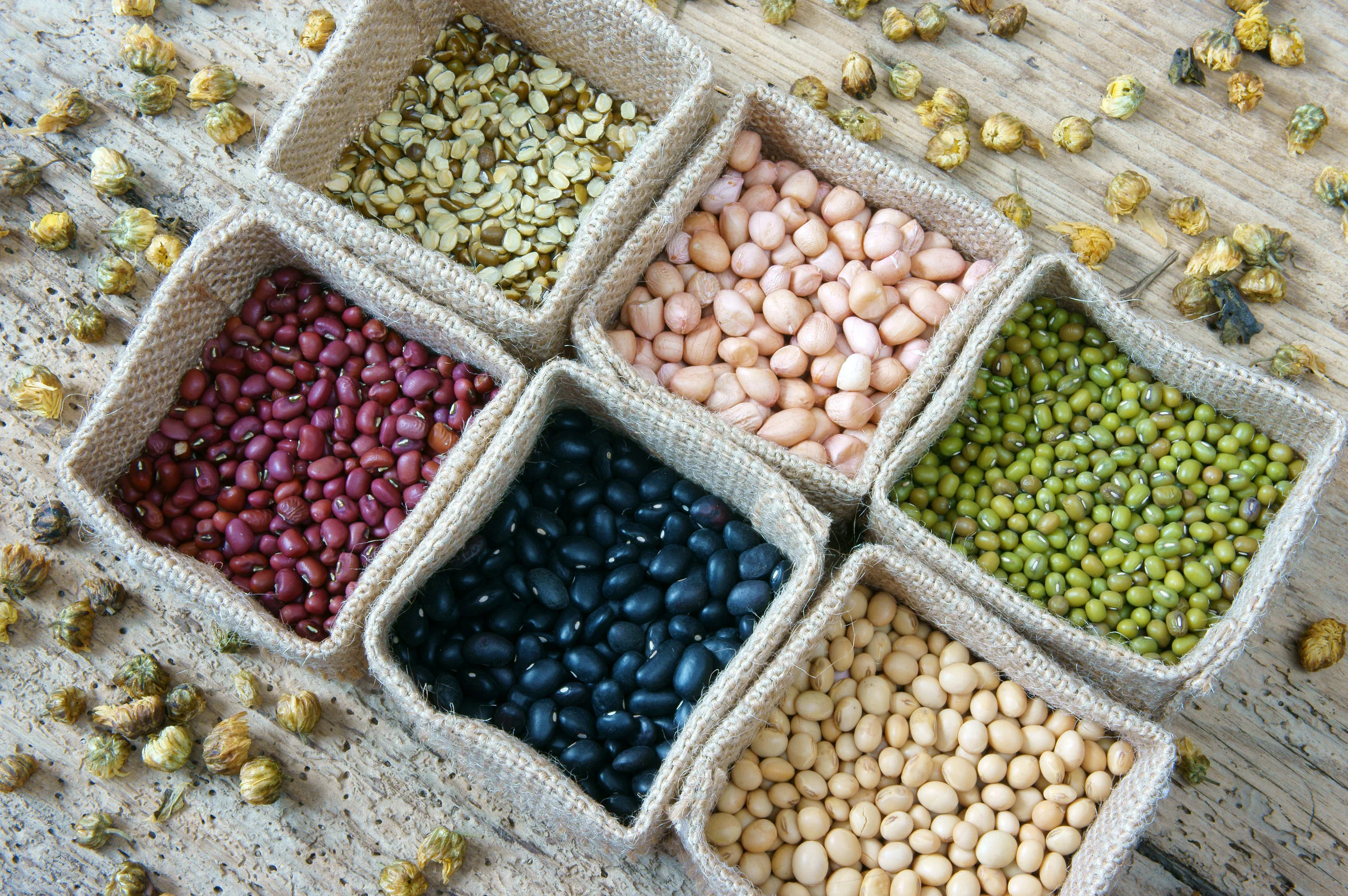 beans of cuteness.jpg