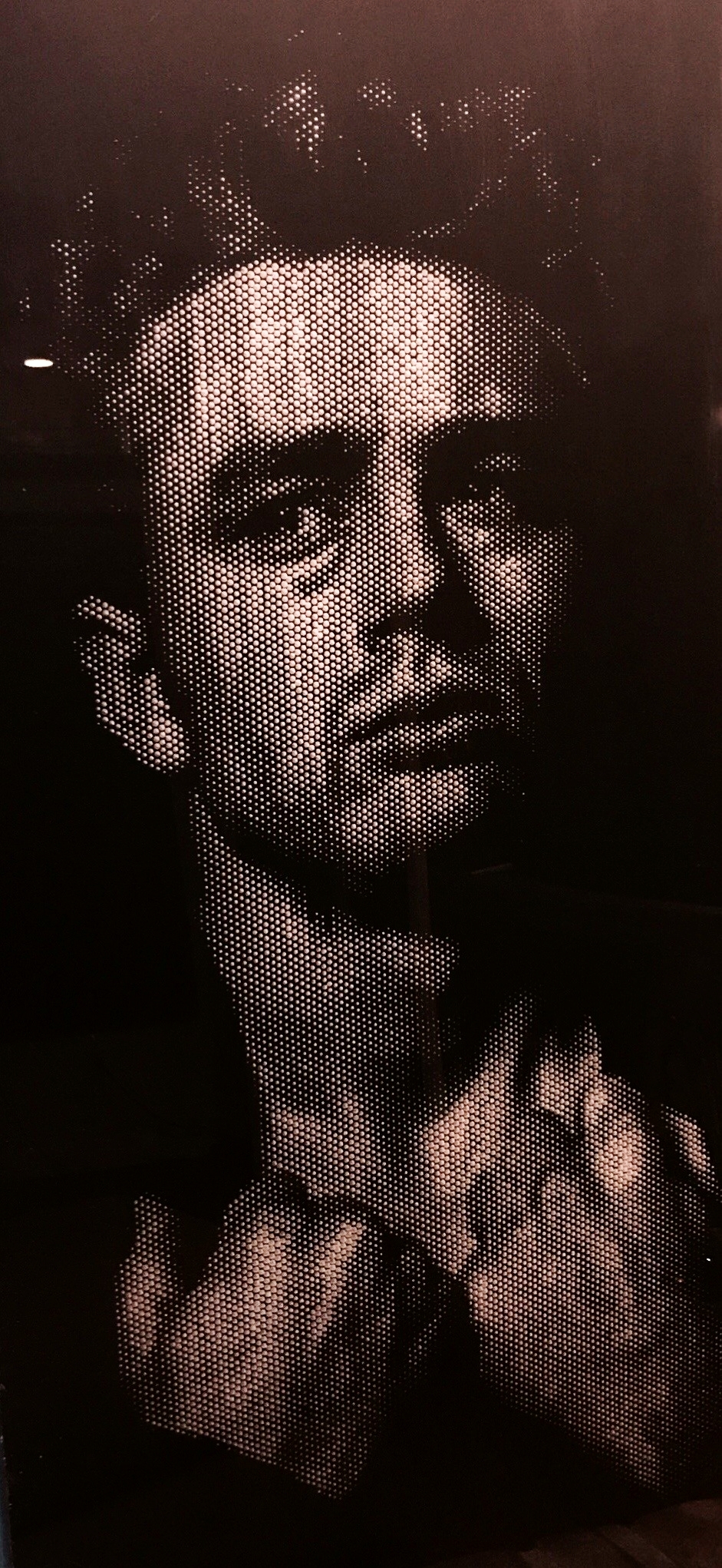 2ft x 4ft drilled halftone on acrylic - SOLD