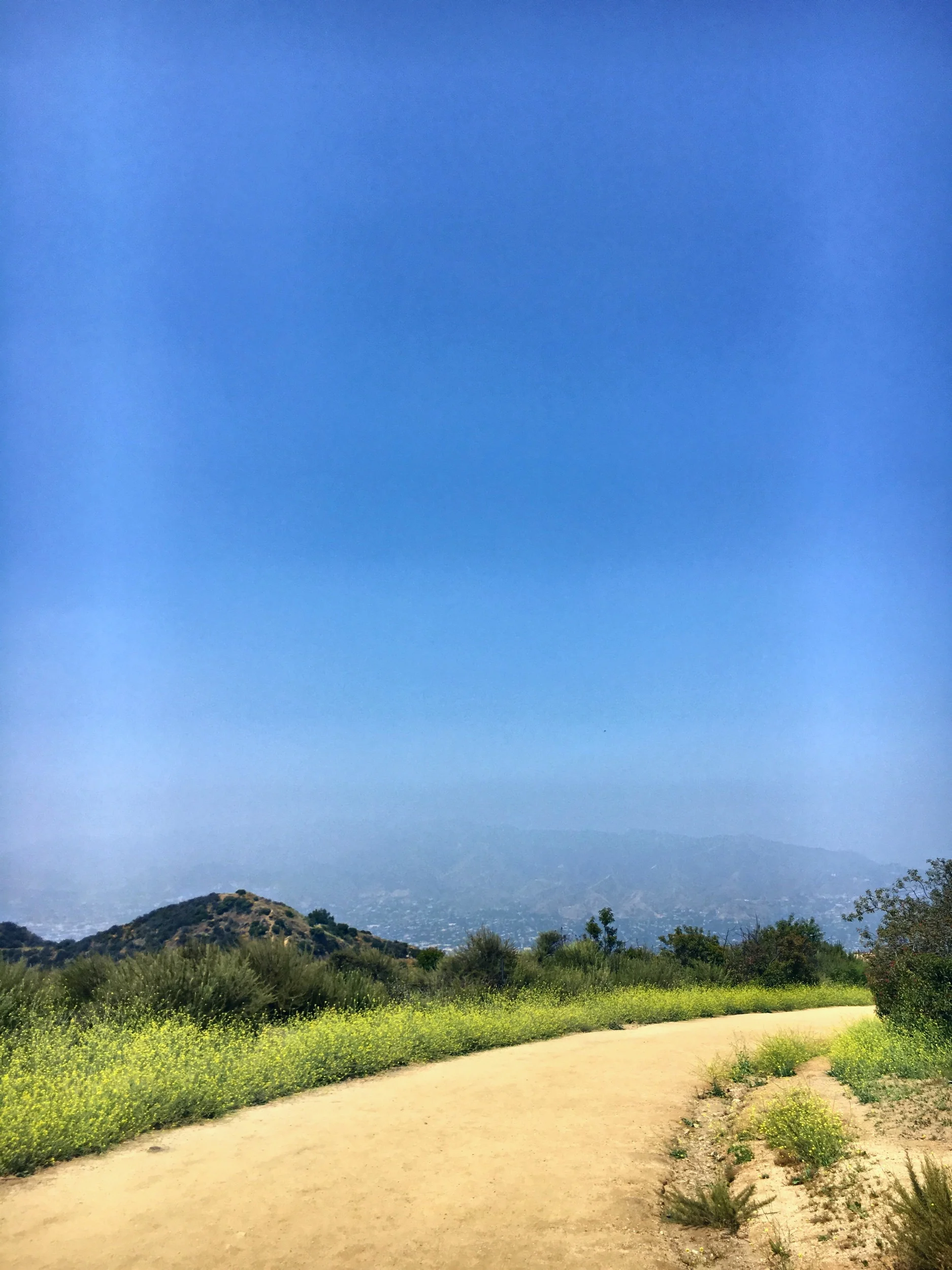 IMG_4262.jpeg