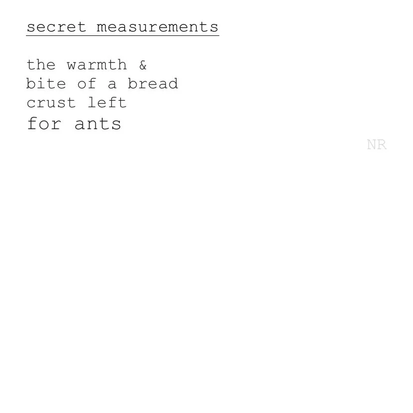 day 136: secret measurements
