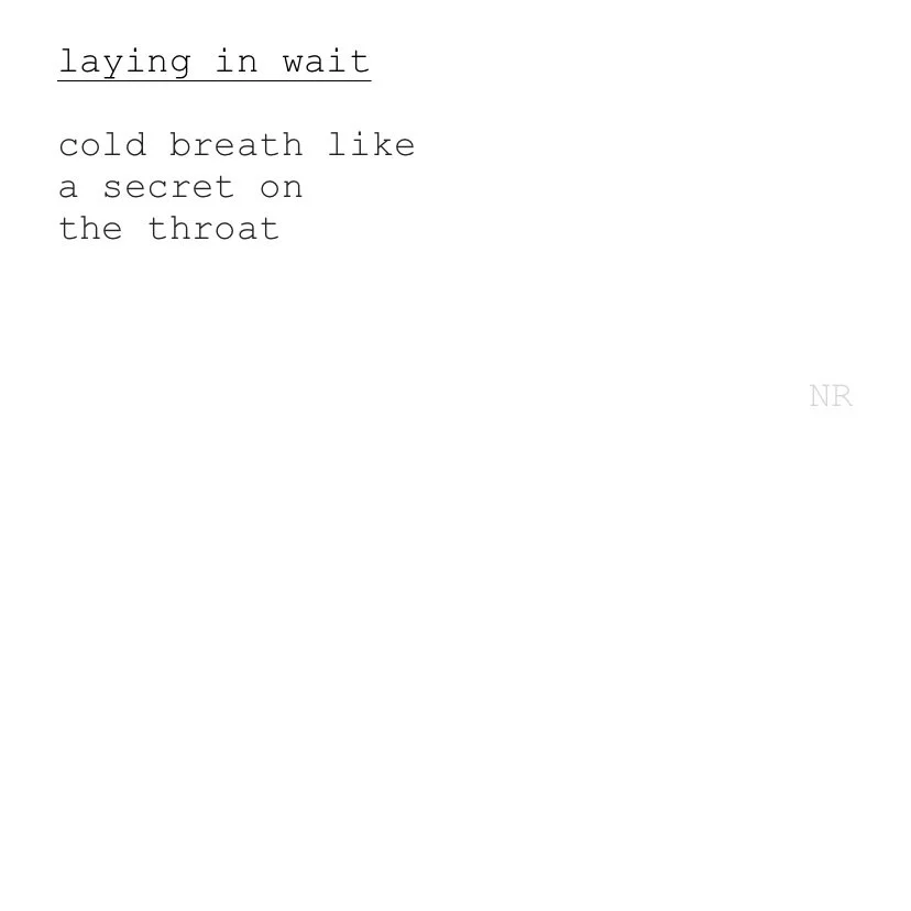 day 160: laying in wait