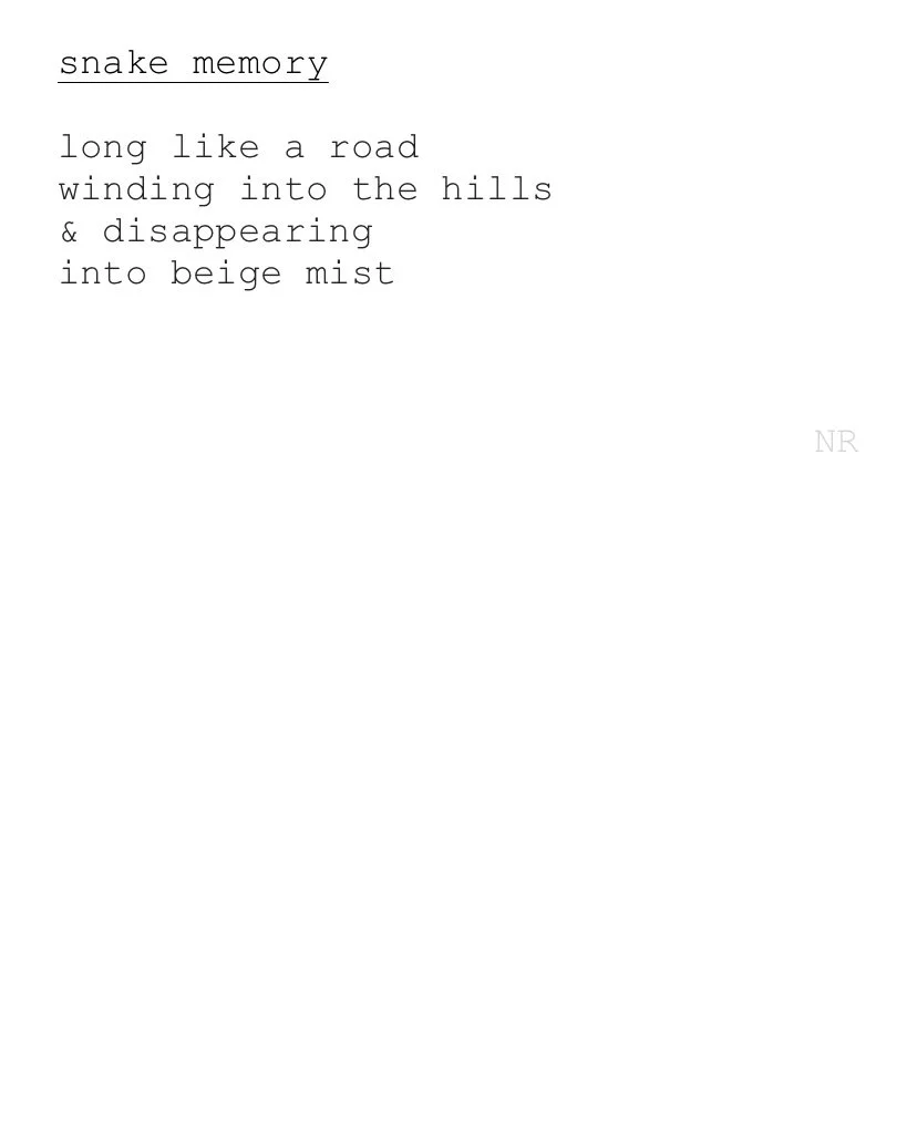 day 165: snake memory